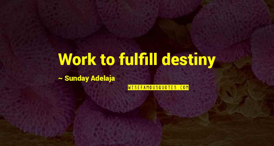 God Worship Quotes By Sunday Adelaja: Work to fulfill destiny