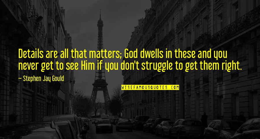 God You Are All That Matters Quotes By Stephen Jay Gould: Details are all that matters; God dwells in