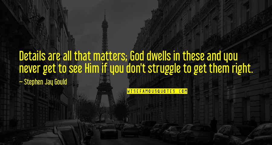 God You Are All That Matters Quotes By Stephen Jay Gould: Details are all that matters; God dwells in God You Are All That Matters Quotes By Stephen Jay Gould: Details are all that matters; God dwells in