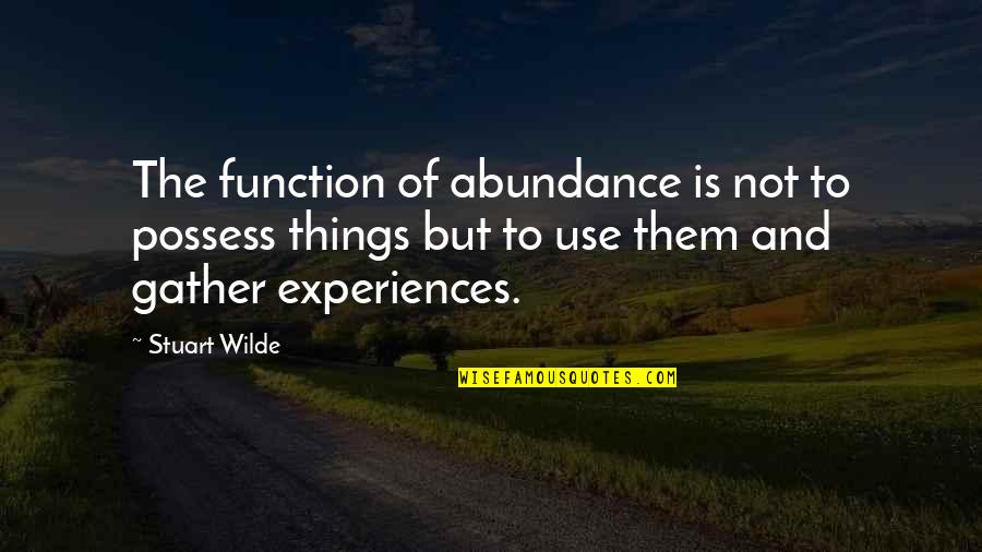 Godbout Plumbing Quotes By Stuart Wilde: The function of abundance is not to possess