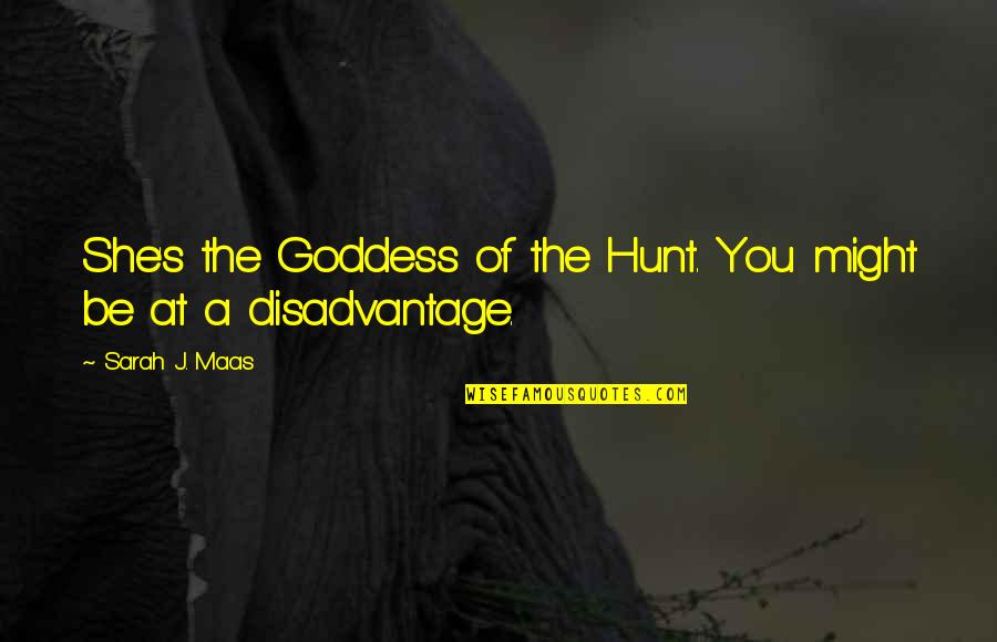 Goddess Hunt Quotes By Sarah J. Maas: She's the Goddess of the Hunt. You might Goddess Hunt Quotes By Sarah J. Maas: She's the Goddess of the Hunt. You might