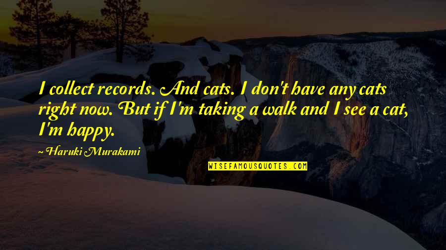Goddsakes Quotes By Haruki Murakami: I collect records. And cats. I don't have
