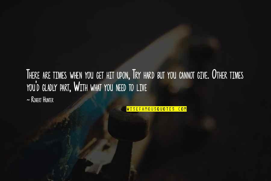 Godels Proof Quotes By Robert Hunter: There are times when you get hit upon,