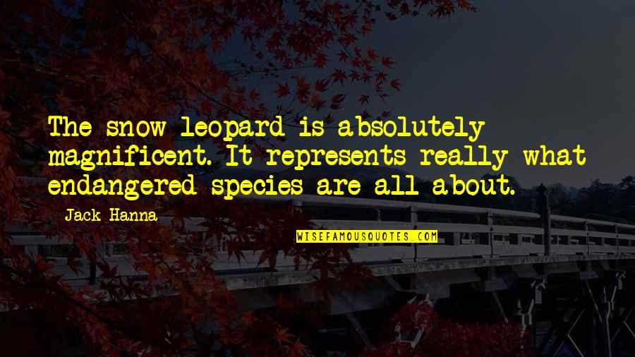 Godisnowhere Quotes By Jack Hanna: The snow leopard is absolutely magnificent. It represents Godisnowhere Quotes By Jack Hanna: The snow leopard is absolutely magnificent. It represents