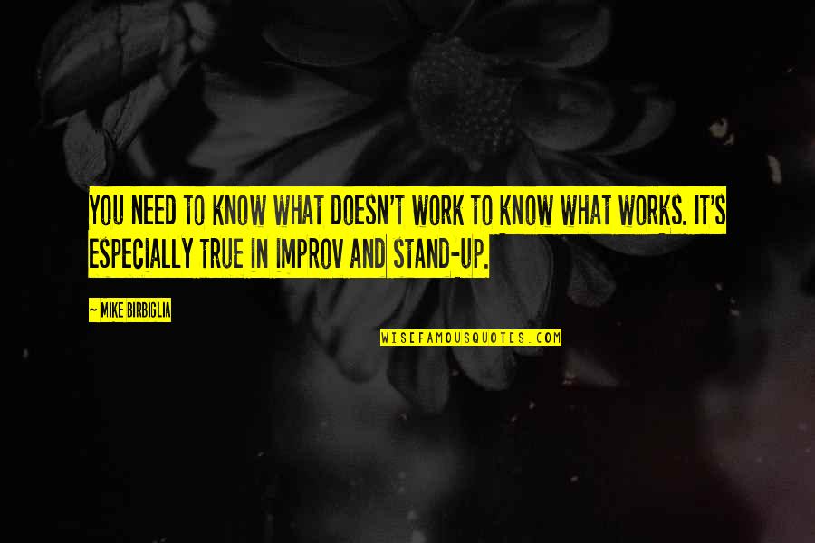 Godkiller Walk Among Us Quotes By Mike Birbiglia: You need to know what doesn't work to