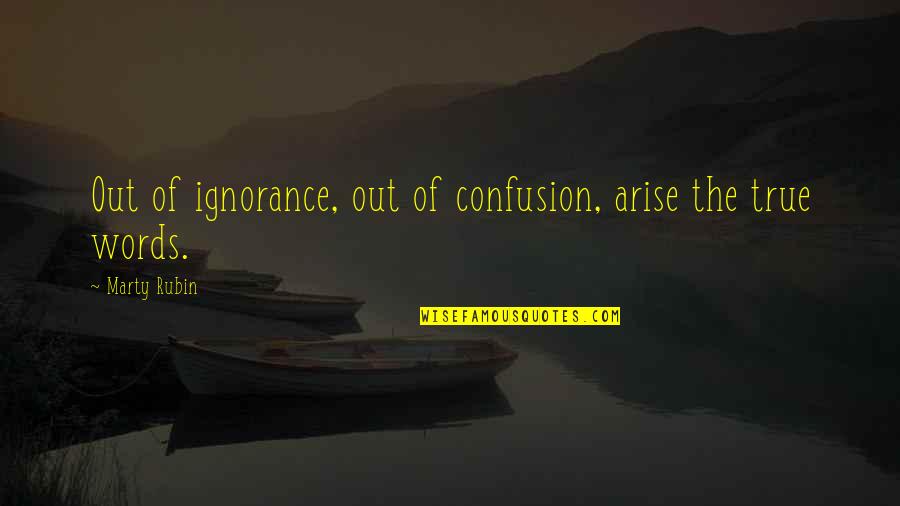 Godliness Cleanliness Quotes By Marty Rubin: Out of ignorance, out of confusion, arise the