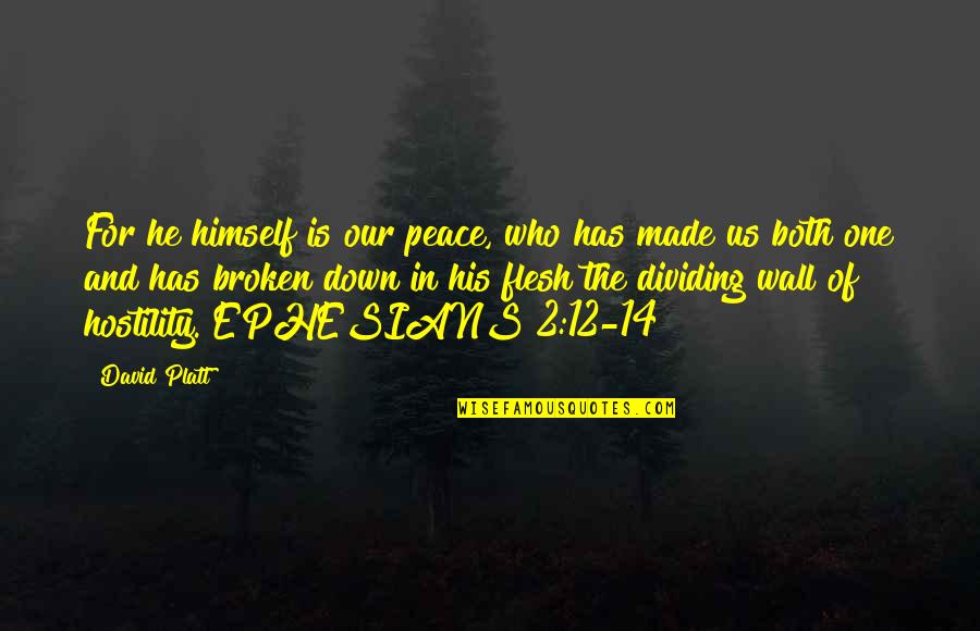 Godly Wednesday Quotes By David Platt: For he himself is our peace, who has
