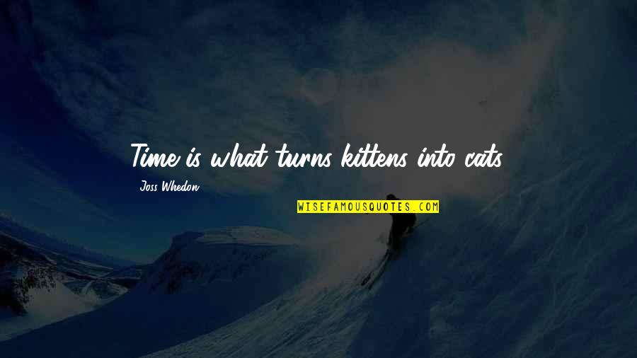 Godness Quotes By Joss Whedon: Time is what turns kittens into cats. Godness Quotes By Joss Whedon: Time is what turns kittens into cats.