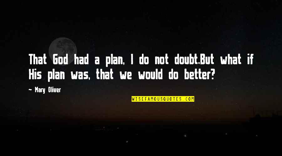 God's Better Plan Quotes By Mary Oliver: That God had a plan, I do not