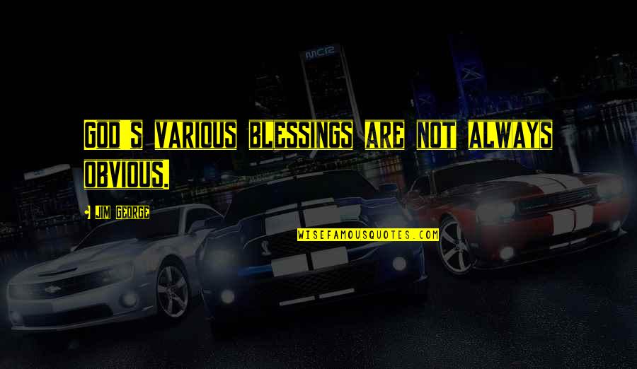 God's Blessings Quotes By Jim George: God's various blessings are not always obvious.
