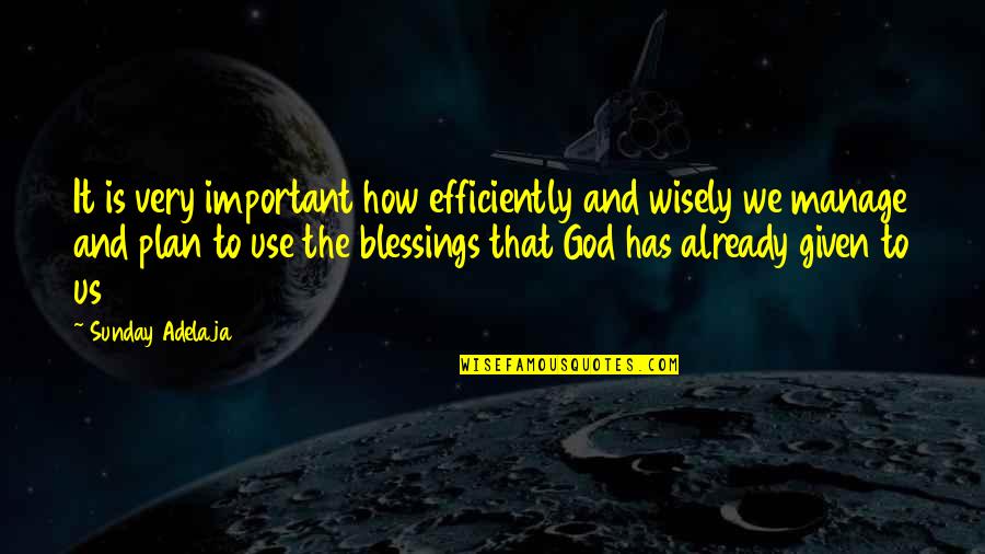 God's Blessings To Us Quotes By Sunday Adelaja: It is very important how efficiently and wisely