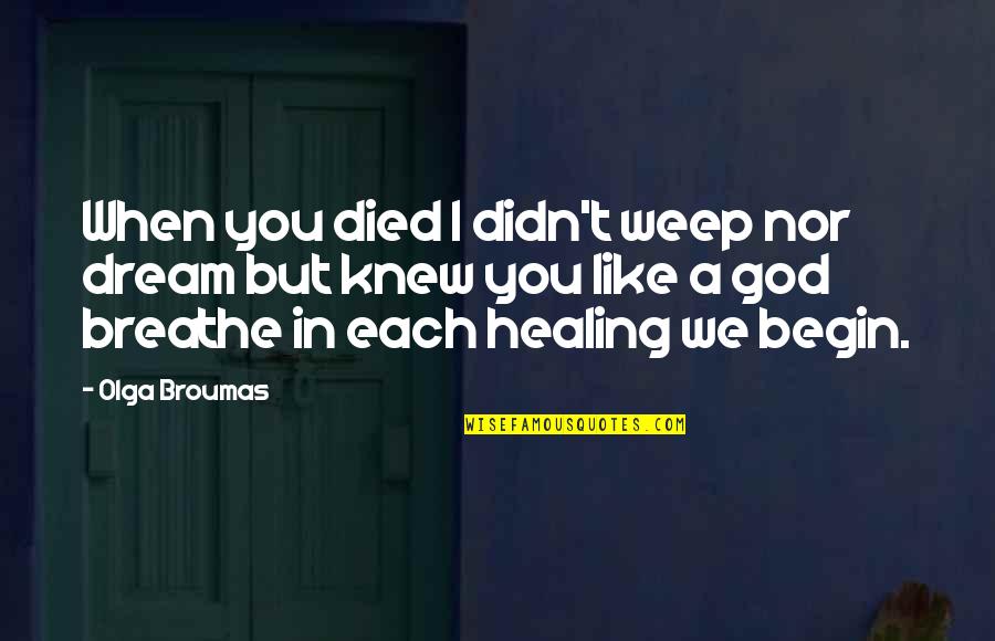 God's Healing Quotes By Olga Broumas: When you died I didn't weep nor dream