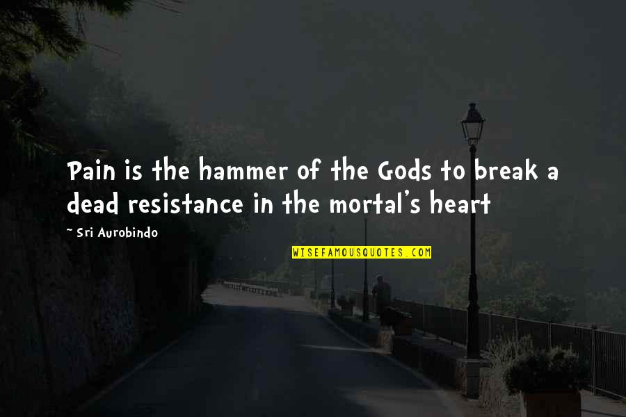 Gods Not Dead 4 Quotes By Sri Aurobindo: Pain is the hammer of the Gods to