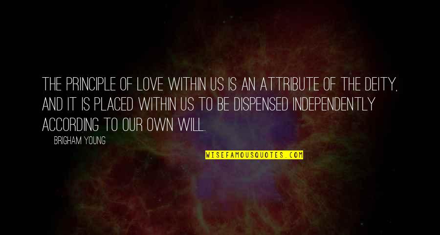 God's Omnipresence Quotes By Brigham Young: The principle of love within us is an