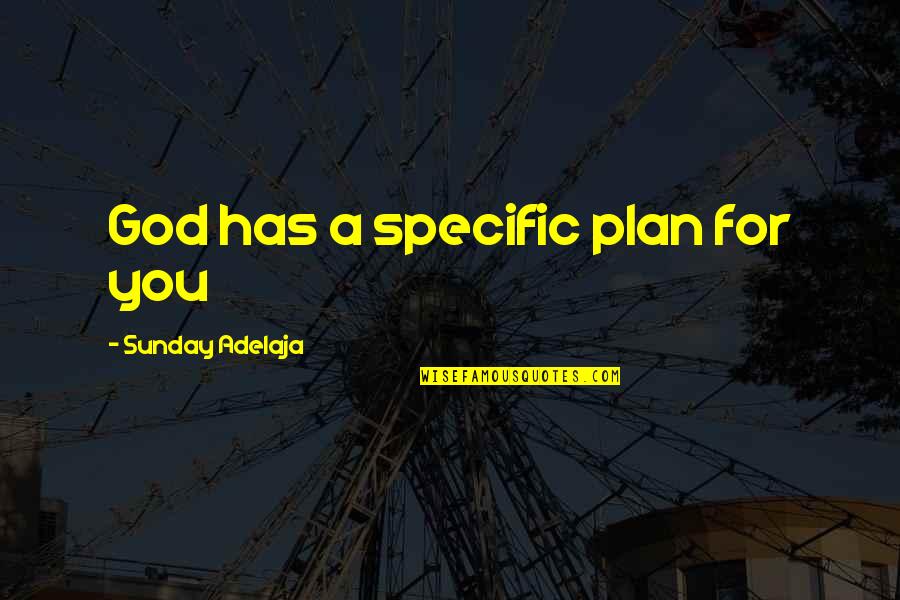 God's Plan For Your Life Quotes By Sunday Adelaja: God has a specific plan for you