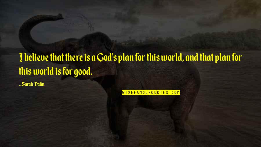 God's Plan Quotes By Sarah Palin: I believe that there is a God's plan