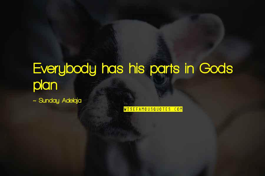 God's Plan Quotes By Sunday Adelaja: Everybody has his parts in God's plan