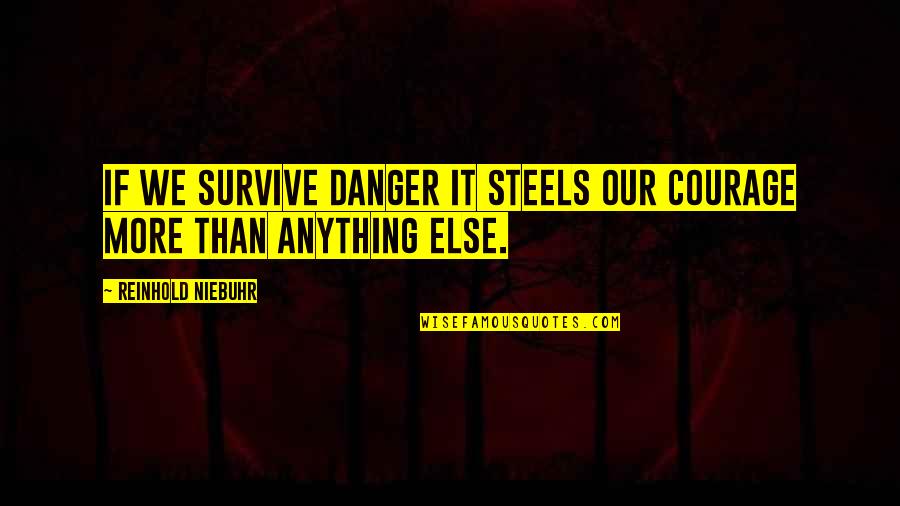 God's Power Bible Quotes By Reinhold Niebuhr: If we survive danger it steels our courage