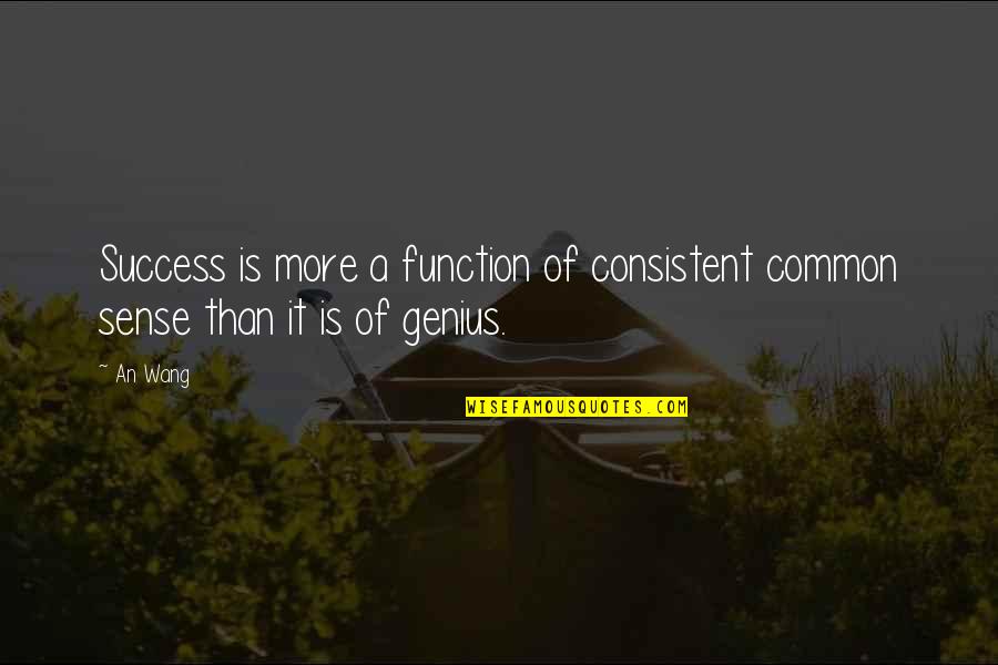 God's Princess Quotes By An Wang: Success is more a function of consistent common