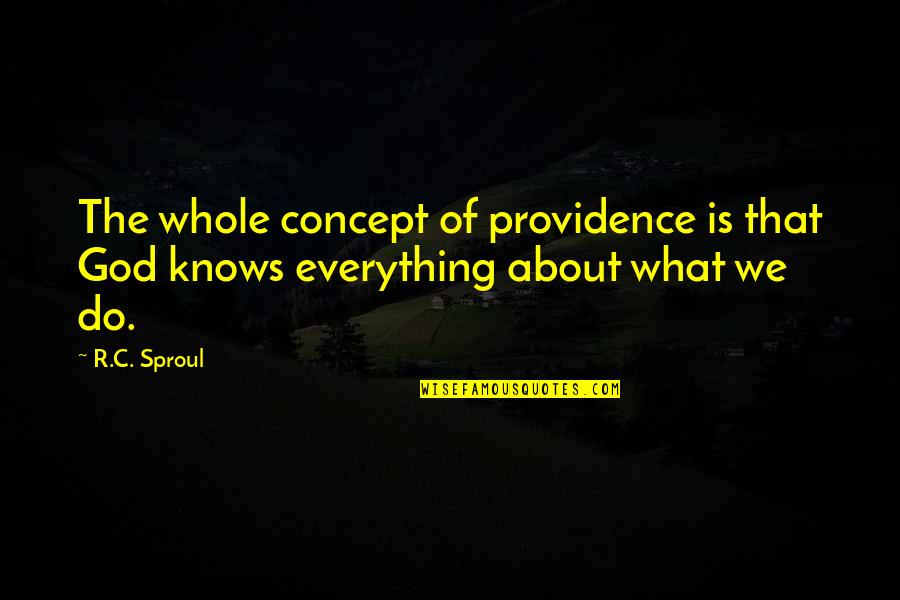 God's Providence Quotes By R.C. Sproul: The whole concept of providence is that God