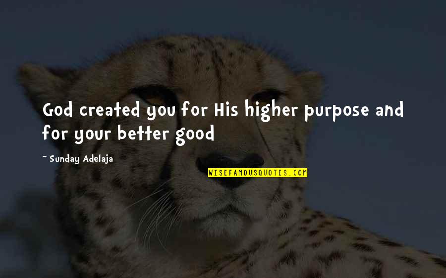 God's Purpose For Your Life Quotes By Sunday Adelaja: God created you for His higher purpose and