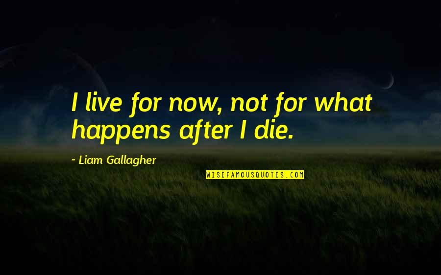 Gods Silence Quotes By Liam Gallagher: I live for now, not for what happens