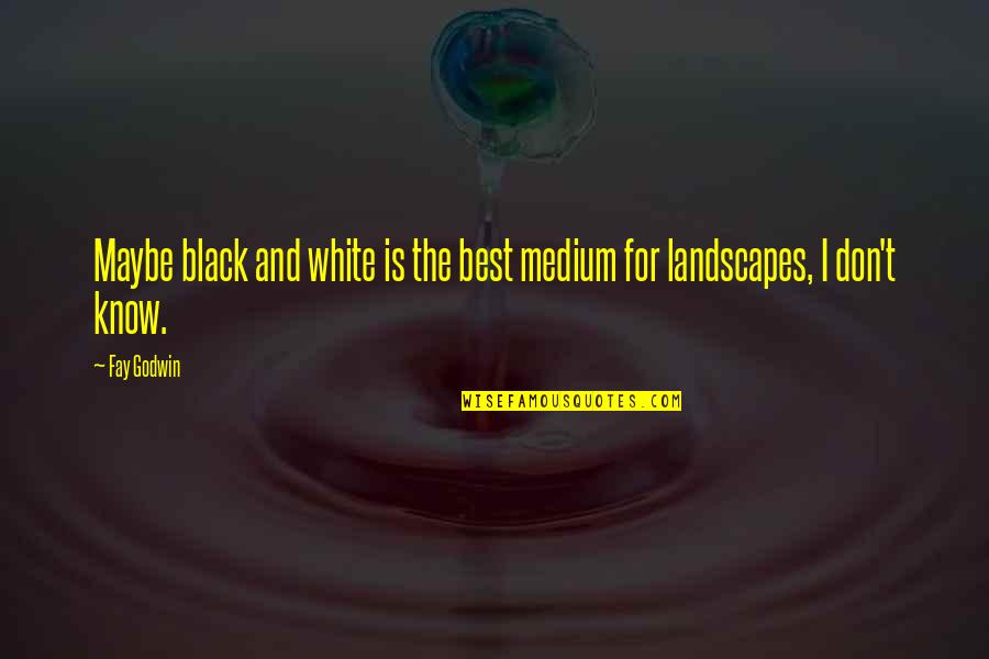 Godwin's Quotes By Fay Godwin: Maybe black and white is the best medium