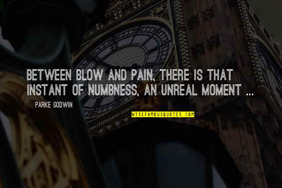 Godwin's Quotes By Parke Godwin: Between blow and pain, there is that instant
