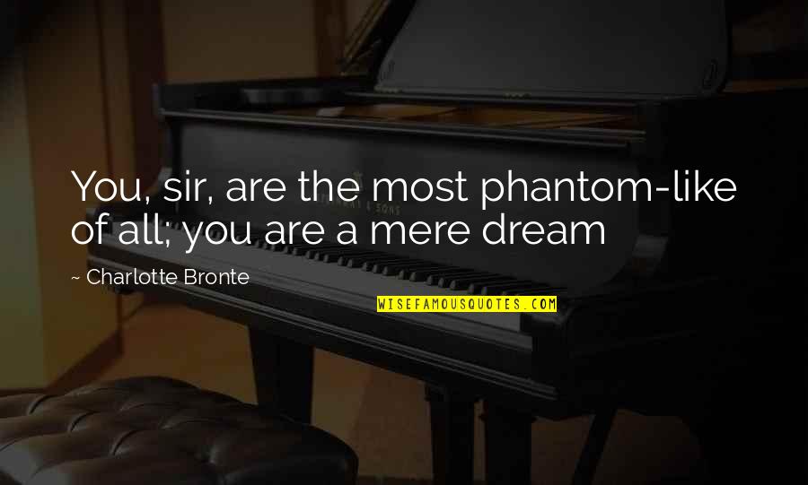 Godwit Quotes By Charlotte Bronte: You, sir, are the most phantom-like of all;