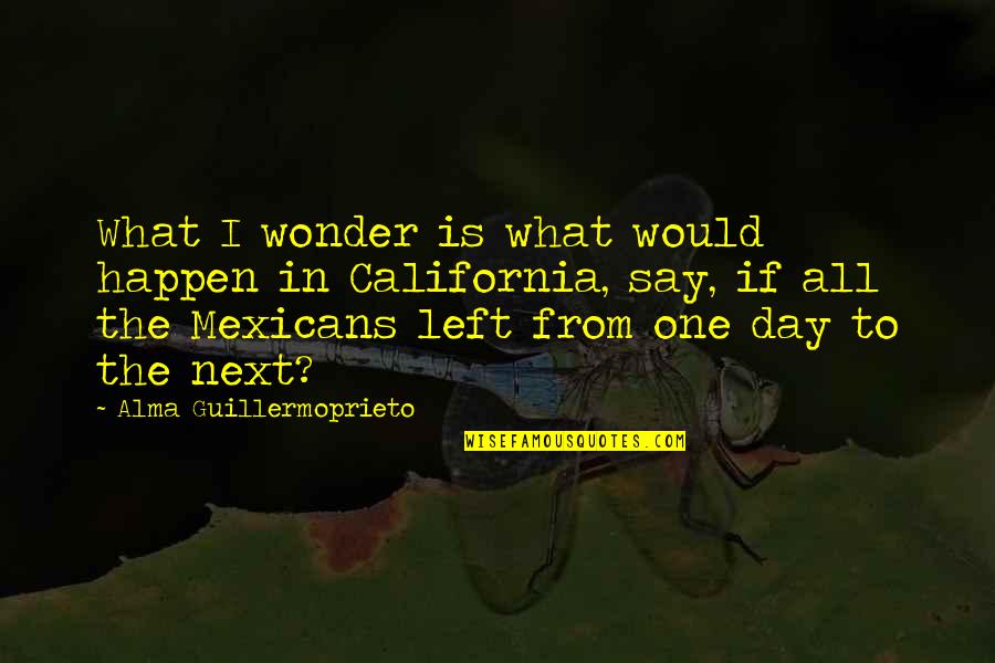 Goedecke St Quotes By Alma Guillermoprieto: What I wonder is what would happen in