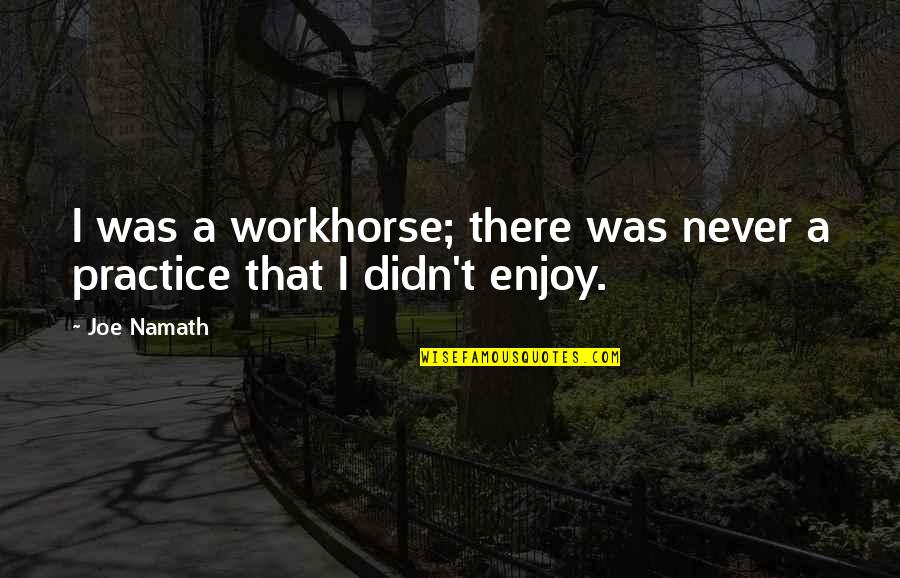 Goedewaagen Delft Quotes By Joe Namath: I was a workhorse; there was never a