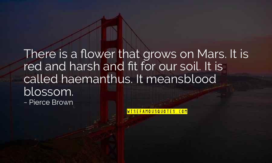 Goeie More Vrydag Quotes By Pierce Brown: There is a flower that grows on Mars. Goeie More Vrydag Quotes By Pierce Brown: There is a flower that grows on Mars.