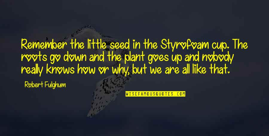 Goes Quotes By Robert Fulghum: Remember the little seed in the Styrofoam cup.