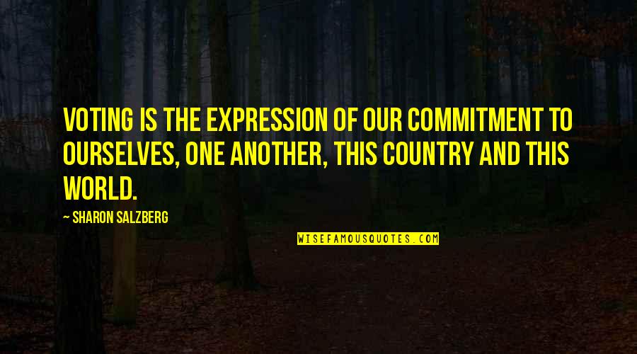 Goettinger Appliances Quotes By Sharon Salzberg: Voting is the expression of our commitment to Goettinger Appliances Quotes By Sharon Salzberg: Voting is the expression of our commitment to