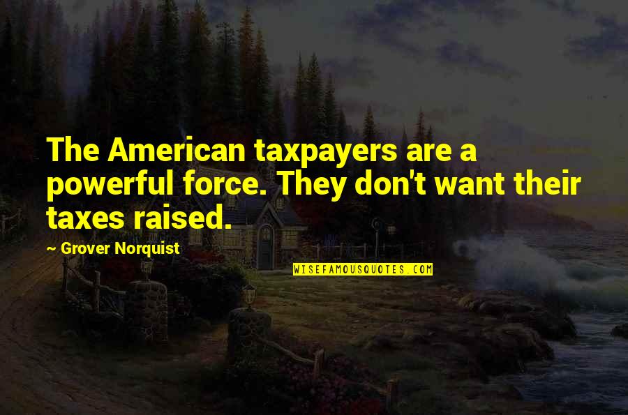 Goffered Quotes By Grover Norquist: The American taxpayers are a powerful force. They