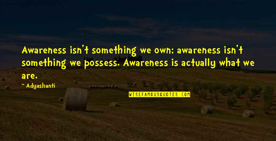 Goggas Quotes By Adyashanti: Awareness isn't something we own; awareness isn't something