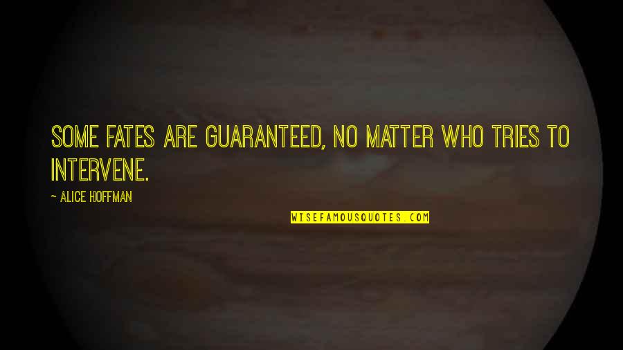 Gogglebox Australia Quotes By Alice Hoffman: Some fates are guaranteed, no matter who tries Gogglebox Australia Quotes By Alice Hoffman: Some fates are guaranteed, no matter who tries