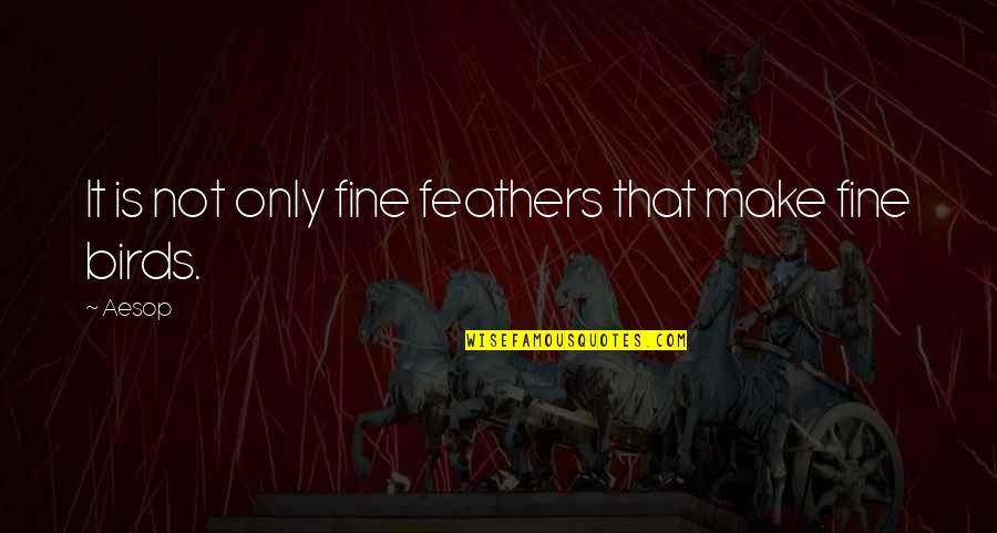 Gogichaishvili Gogicha Quotes By Aesop: It is not only fine feathers that make