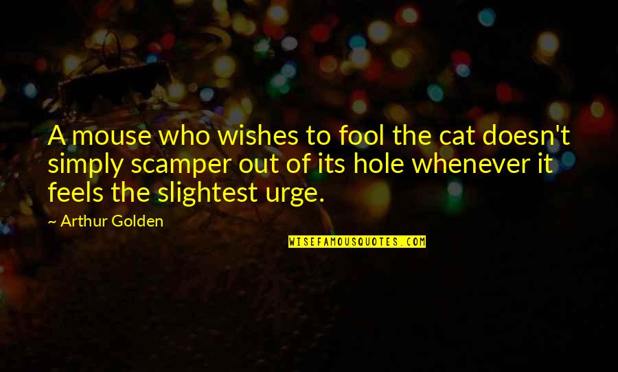 Gogito Vs Zeno Quotes By Arthur Golden: A mouse who wishes to fool the cat Gogito Vs Zeno Quotes By Arthur Golden: A mouse who wishes to fool the cat