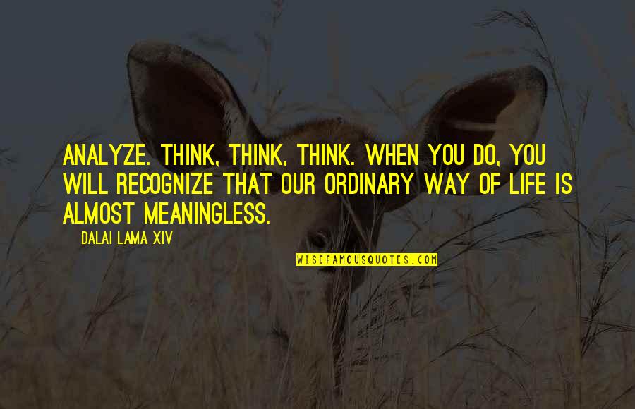 Going After Success Quotes By Dalai Lama XIV: Analyze. Think, think, think. When you do, you Going After Success Quotes By Dalai Lama XIV: Analyze. Think, think, think. When you do, you
