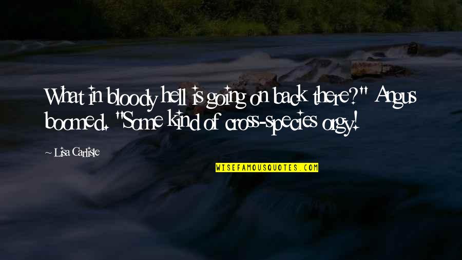 Going Back To Hell Quotes By Lisa Carlisle: What in bloody hell is going on back