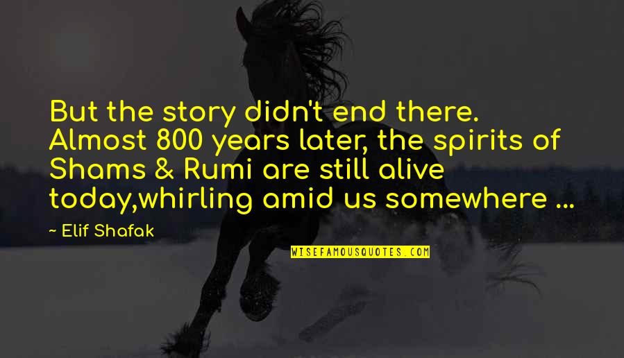 Going Back To His Ex Quotes By Elif Shafak: But the story didn't end there. Almost 800