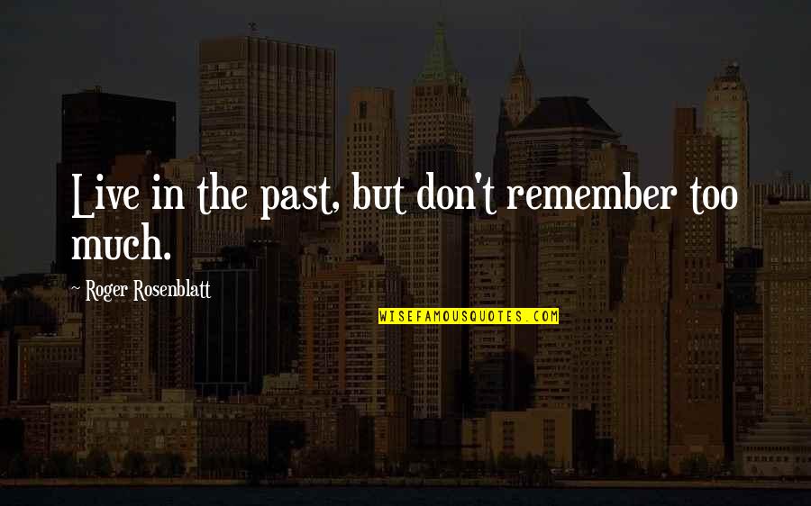 Going Back To Hometown Quotes By Roger Rosenblatt: Live in the past, but don't remember too
