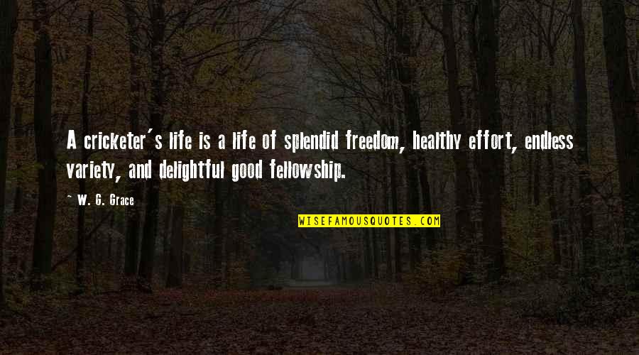 Going Back To Your Ex Boyfriend Quotes By W. G. Grace: A cricketer's life is a life of splendid Going Back To Your Ex Boyfriend Quotes By W. G. Grace: A cricketer's life is a life of splendid