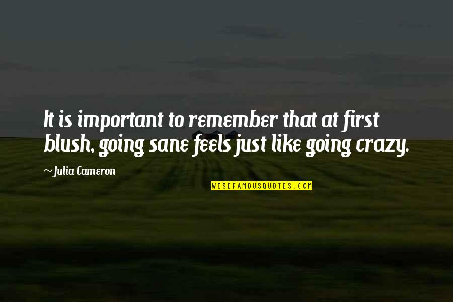 Going Crazy Quotes By Julia Cameron: It is important to remember that at first
