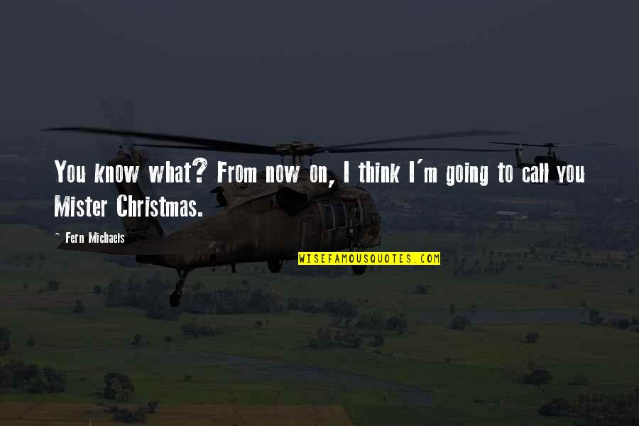 Going For Holiday Quotes By Fern Michaels: You know what? From now on, I think