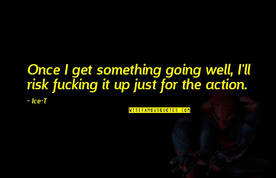 Going For Success Quotes By Ice-T: Once I get something going well, I'll risk