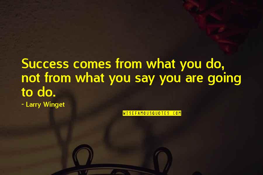 Going For Success Quotes By Larry Winget: Success comes from what you do, not from