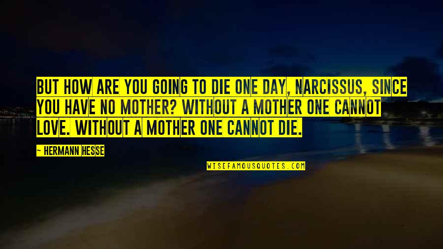 Going For The One You Love Quotes By Hermann Hesse: But how are you going to die one