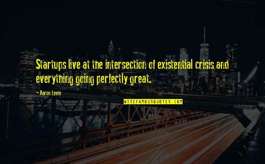 Going Great Quotes By Aaron Levie: Startups live at the intersection of existential crisis